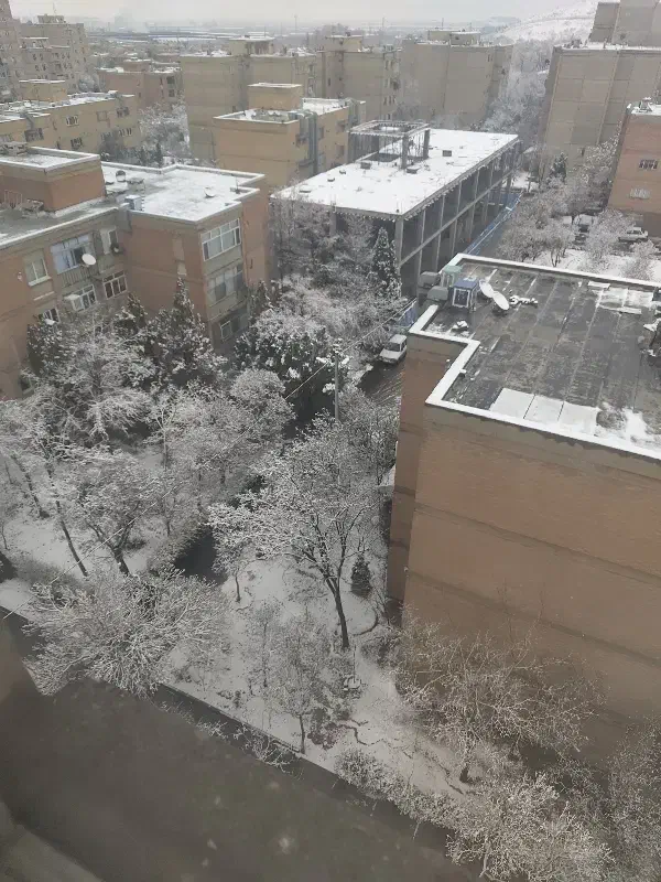 کار در قهوه خانه|استخدام خدمات فروشگاه و رستوران|اراک, |دیوار