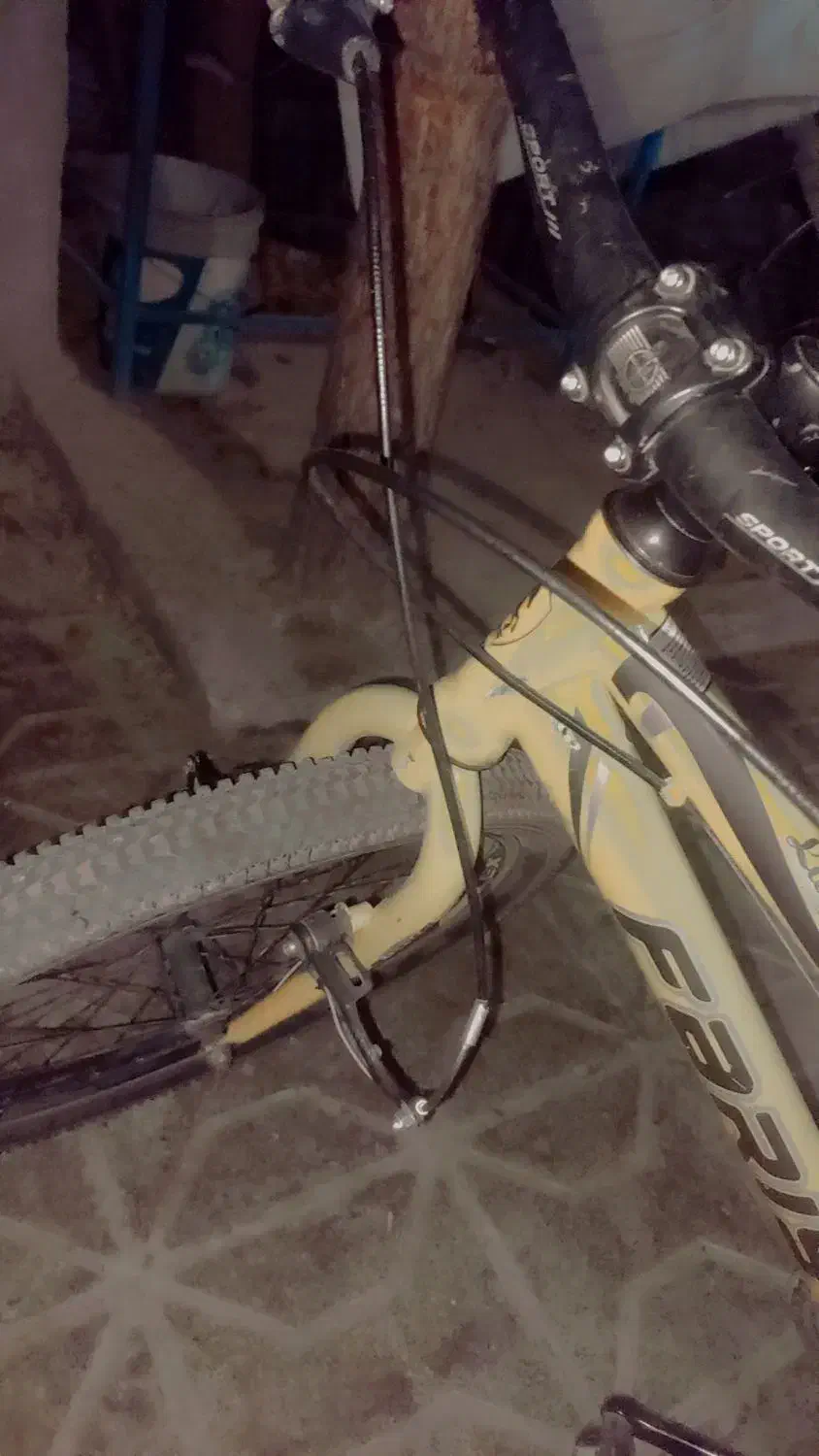 دوچرخه ۲۴ فاریس درحد نو|دوچرخه، اسکیت، اسکوتر|گلبهار, شهر جدید گلبهار|دیوار