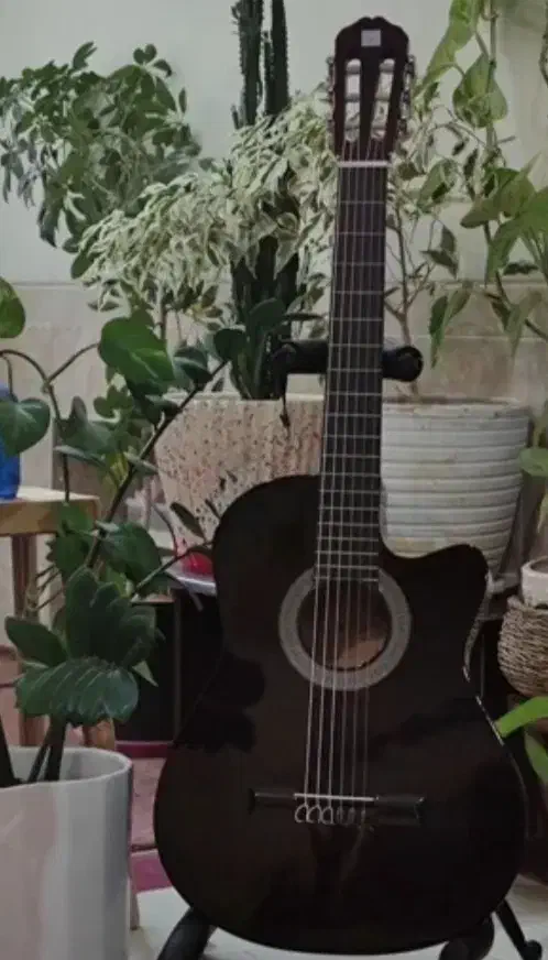 گیتار|گیتار، بیس، امپلیفایر|قرچک, میرزائی جنوبی|دیوار