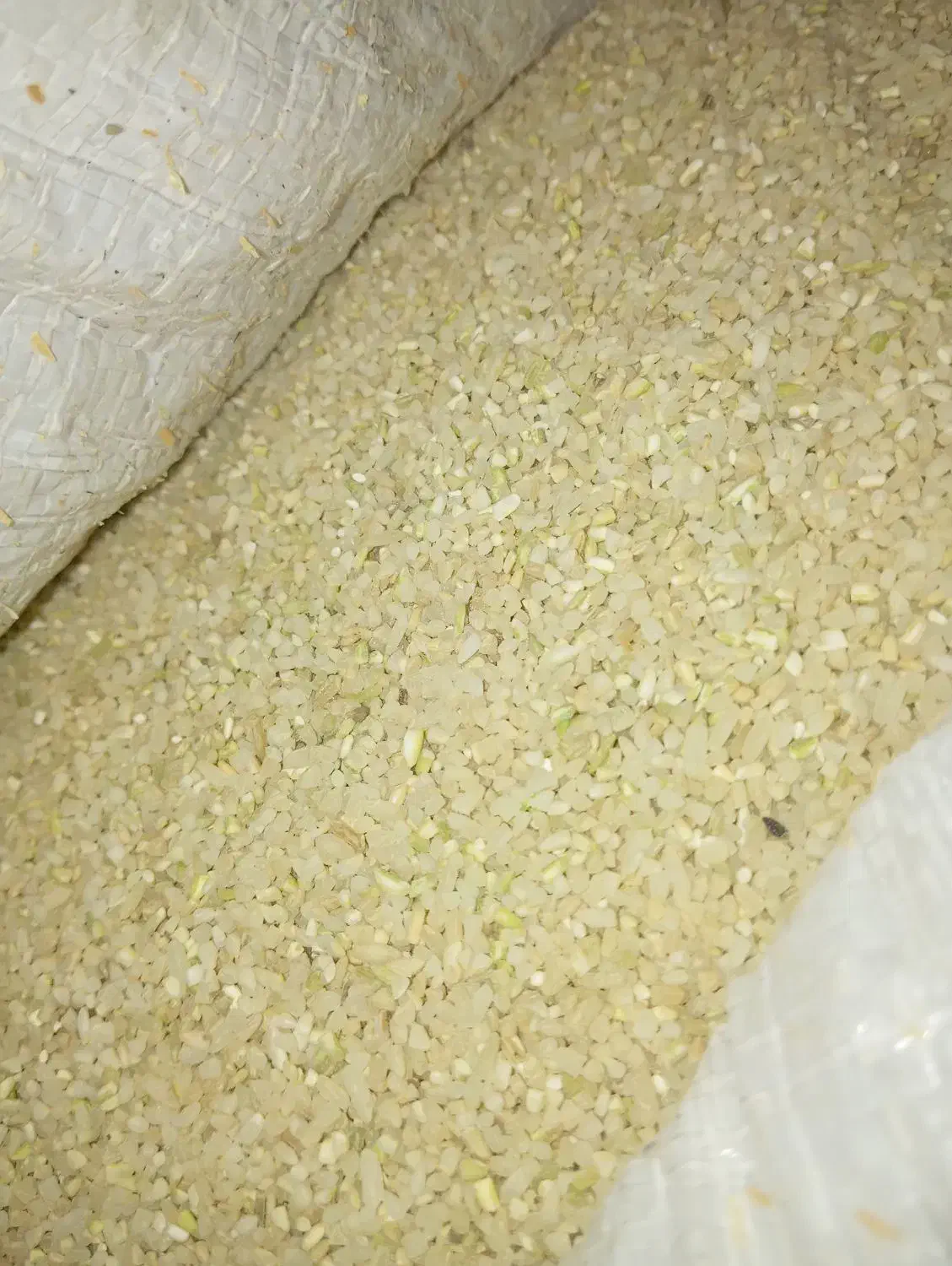 خوردهبرنجچمپای|خوردنی و آشامیدنی|کوه چنار, |دیوار