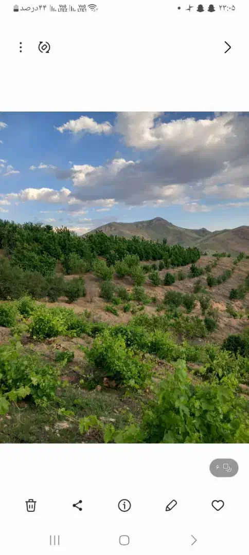 فروش باغ|فروش خانه و ویلا|موچش, |دیوار