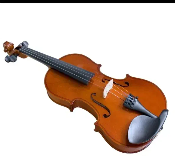 ویولن والنسیا ۱۶۰اموزشی|ویولن|کرمانشاه, |دیوار