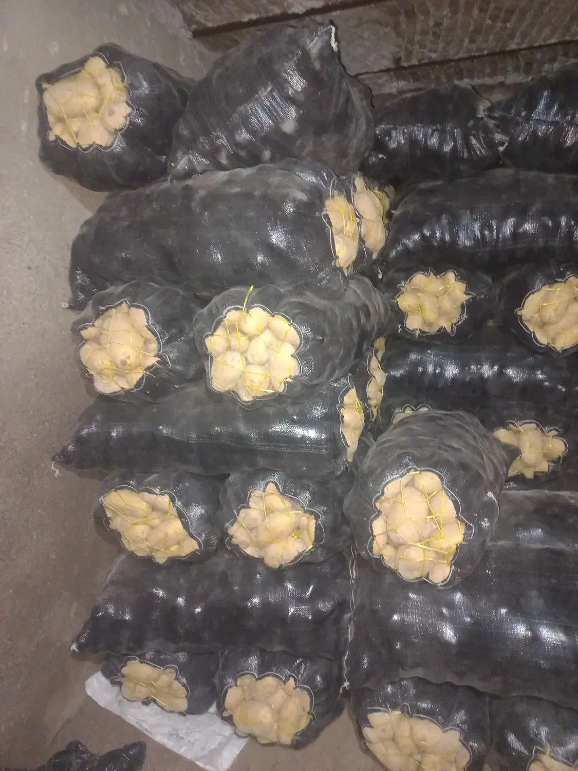 سیب زمینی جلی درجه|خوردنی و آشامیدنی|نمین, |دیوار