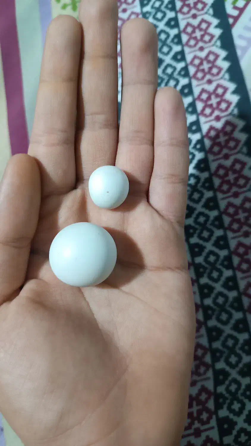 سنگ آسیاب اصل اصل|کلکسیون اشیاء عتیقه|شاهین‌شهر, شهرک سایت|دیوار