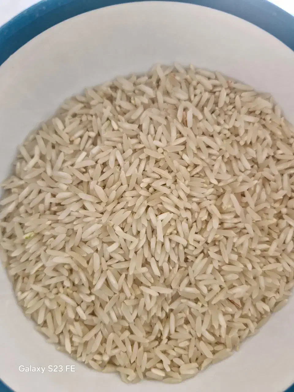 طارم شیروان|خوردنی و آشامیدنی|ایلام, |دیوار