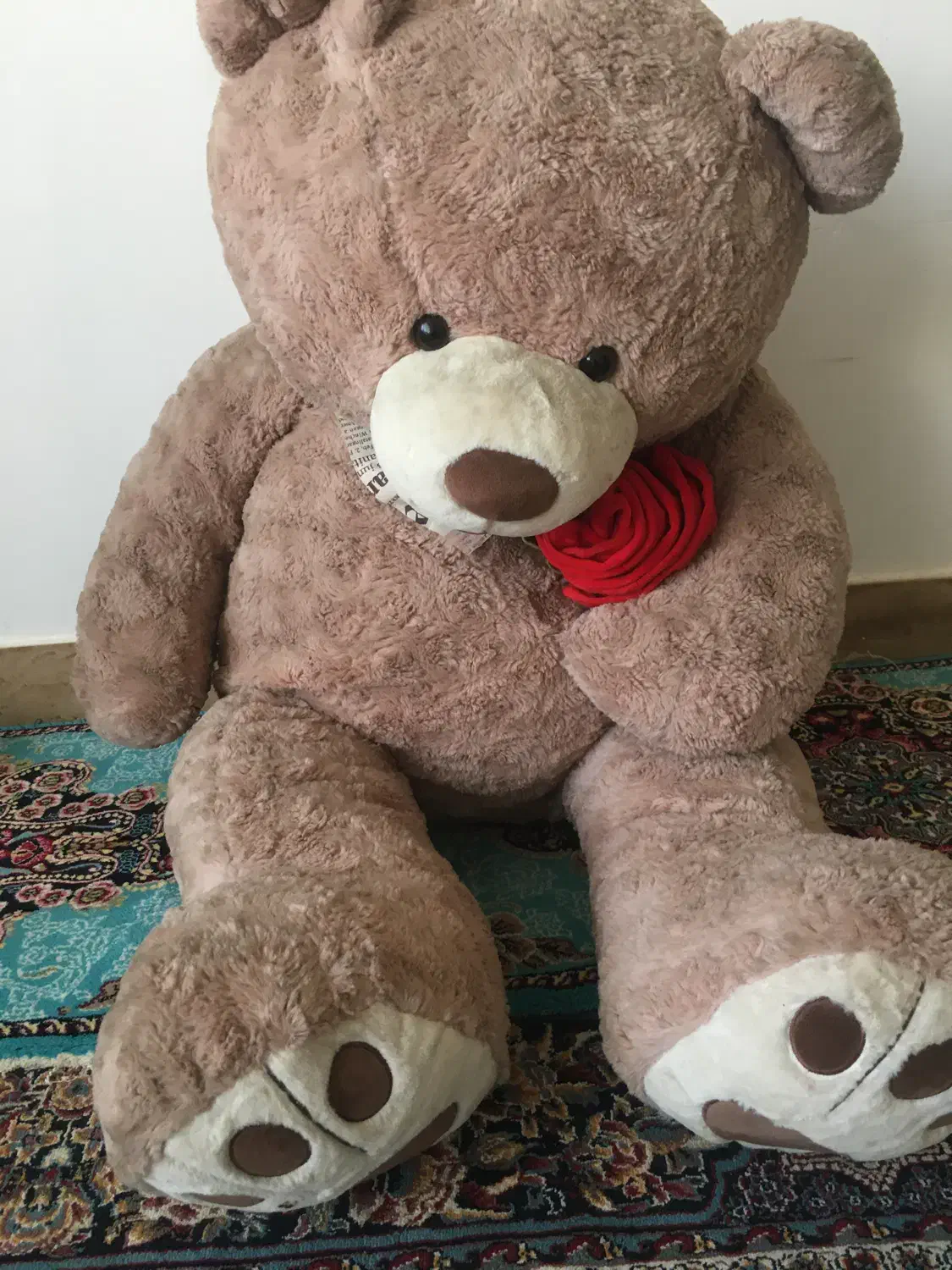 خرس بزرگ|اسباب‌‌بازی|رباط‌کریم, رباط‌کریم|دیوار