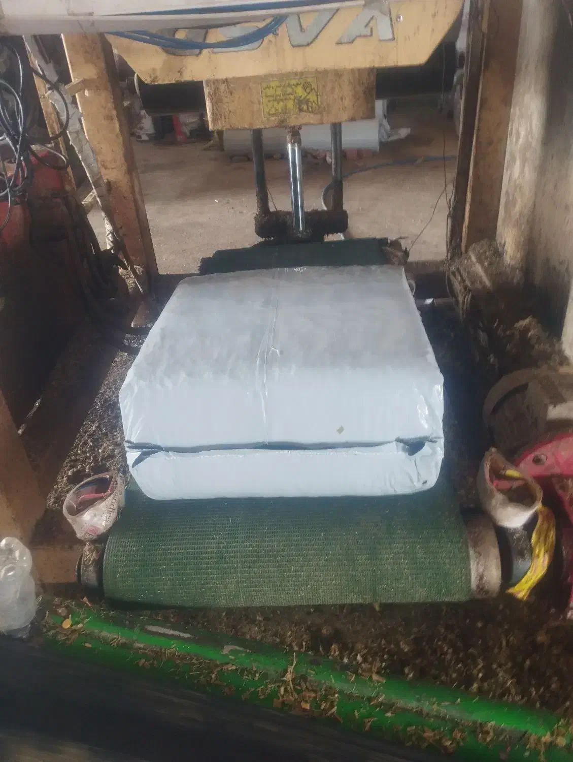 ذرت‌علوفه|لوازم جانبی حیوانات|مراغه, |دیوار