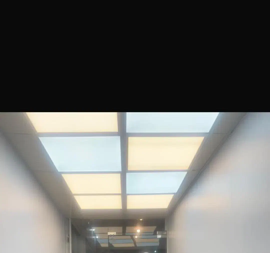 چراغ زئوس|لامپ و چراغ|تهران, جی|دیوار