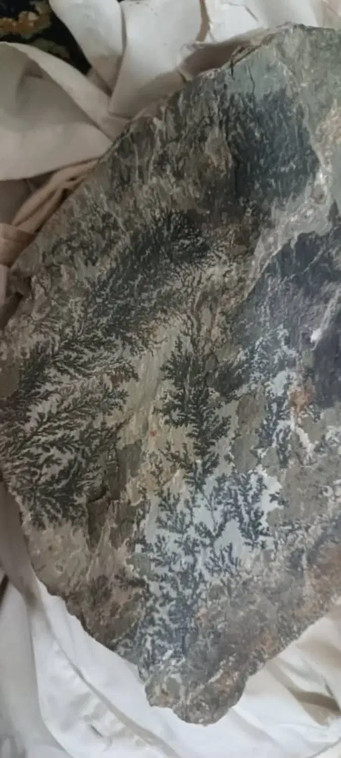 فروش سنگ شجر دریای ۸کیلوی|جواهرات|دهگلان, |دیوار