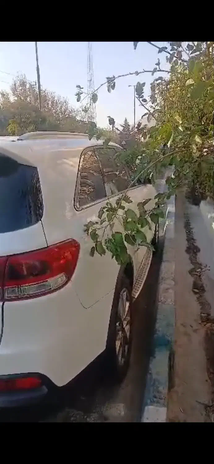 سورنتو ۲۰۱۶|خودرو سواری و وانت|تهران, نازیآباد|دیوار