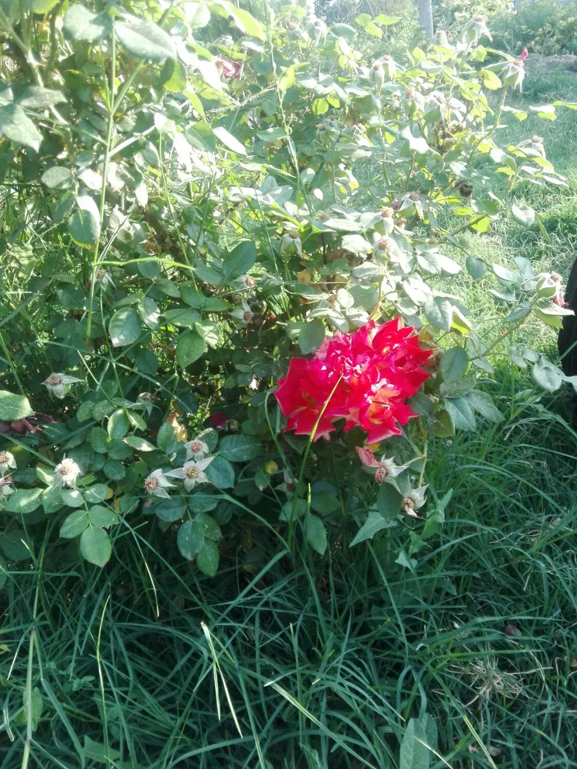 وام فوری|کارت هدیه و تخفیف|قم, بکایی|دیوار