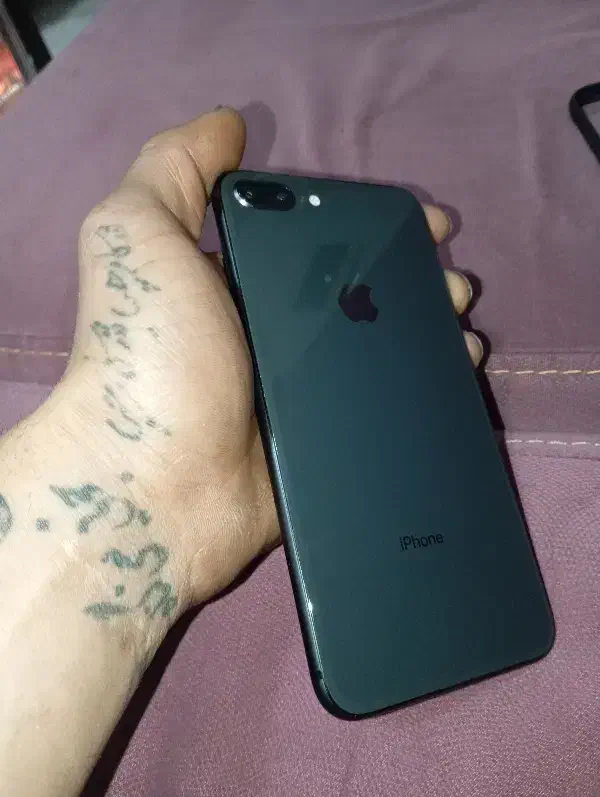 iphone 8plus 256|موبایل|رشت, پسیخان|دیوار