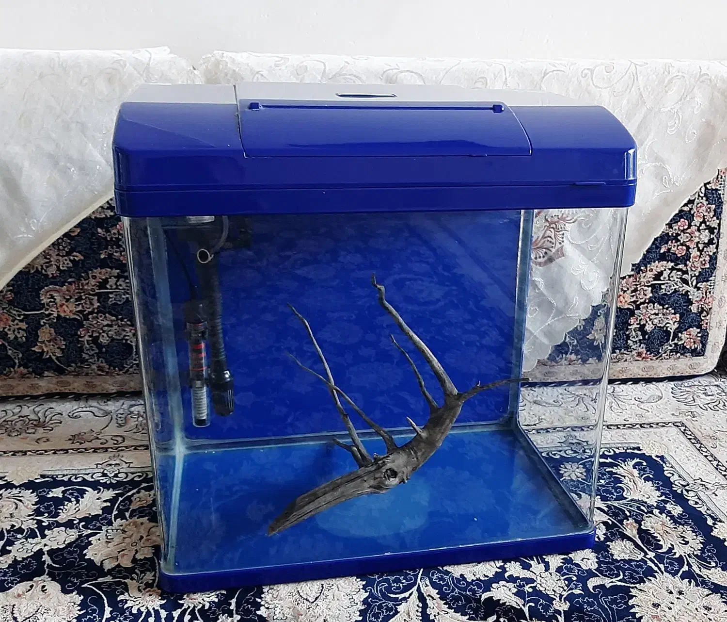 آکواریوم شرکتی|ماهی|سنندج, |دیوار