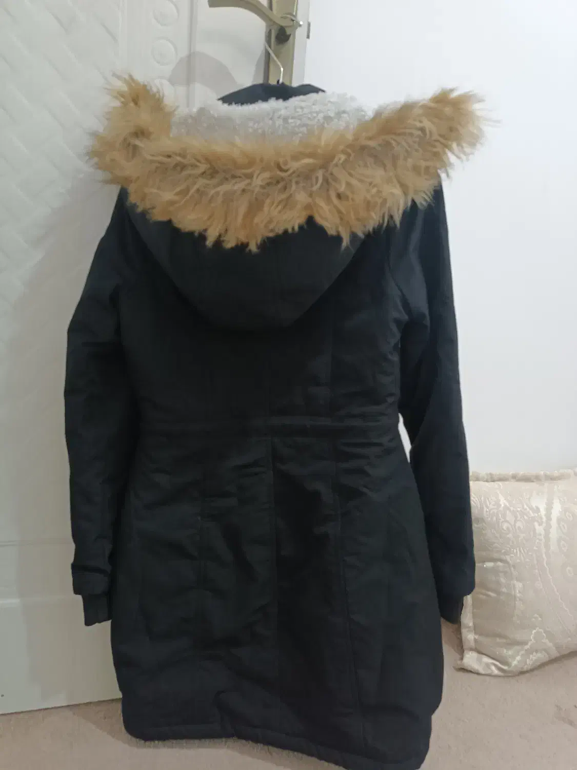 کاپشن / پالتو زنانه|لباس|بردسکن, |دیوار