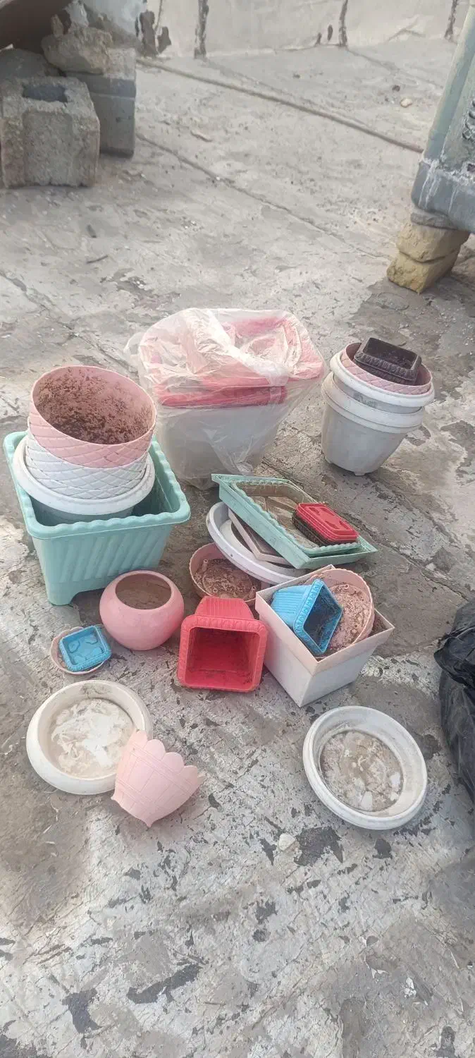 تعدادی گلدان پلاستیکی بدون افتاب سوختگی|گل و گیاه طبیعی|شیراز, شهرک مهدیآباد|دیوار