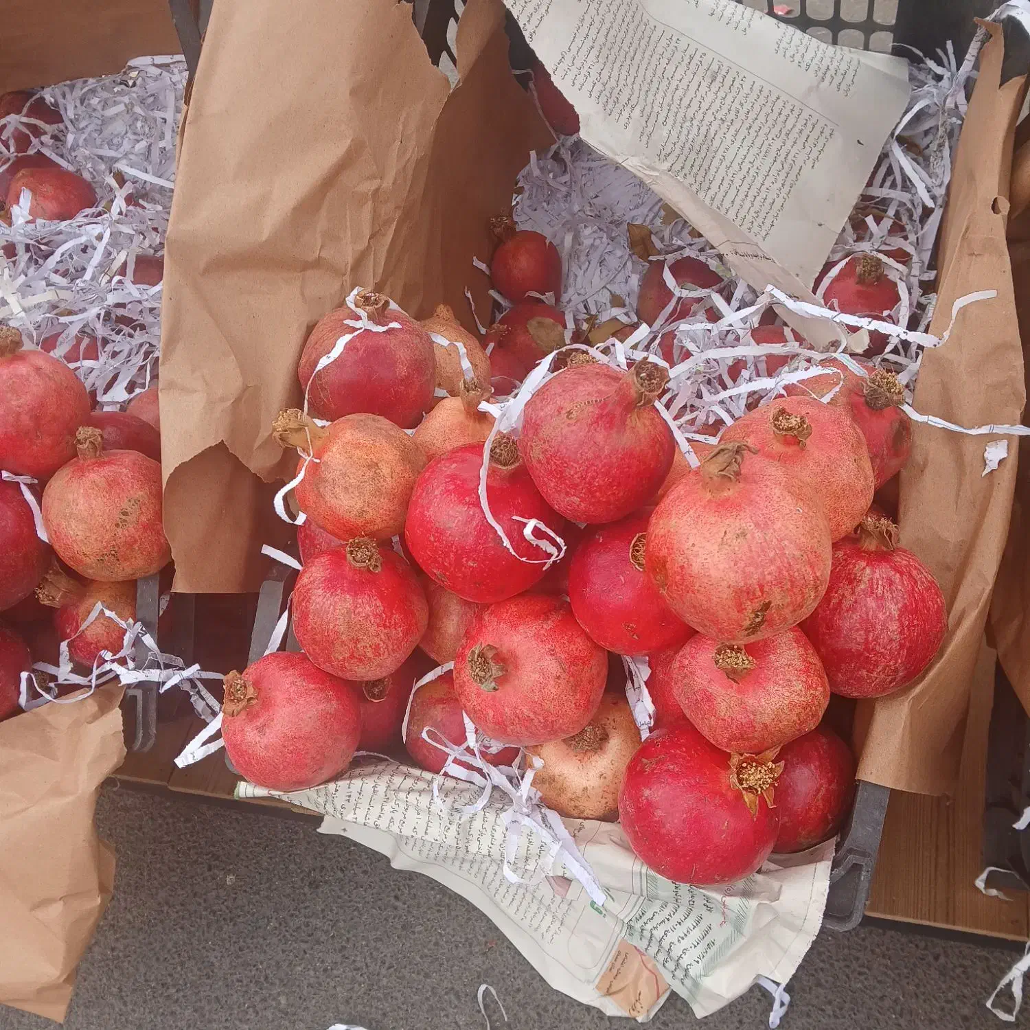 انار محمود اباد|خوردنی و آشامیدنی|گرمسار, |دیوار