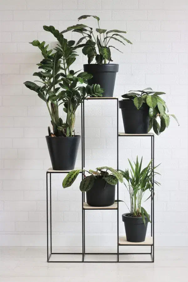 تولید و فروش استند گل مدرن و مقاوم برند شاخه|گل و گیاه طبیعی|تاکستان, |دیوار