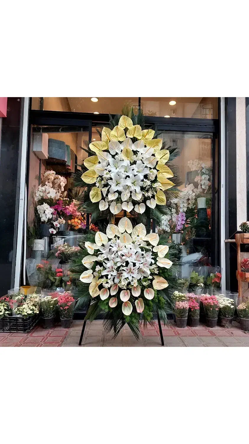 گل نمایشگاهی بین المللی سئول ایران مال شهر آفتاب|گل و گیاه طبیعی|تهران, امانیه|دیوار