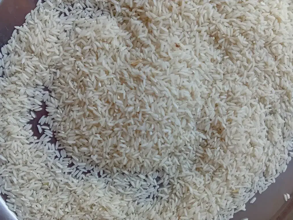 فروش بهنام کشت دوم|خوردنی و آشامیدنی|قائم‌شهر, |دیوار