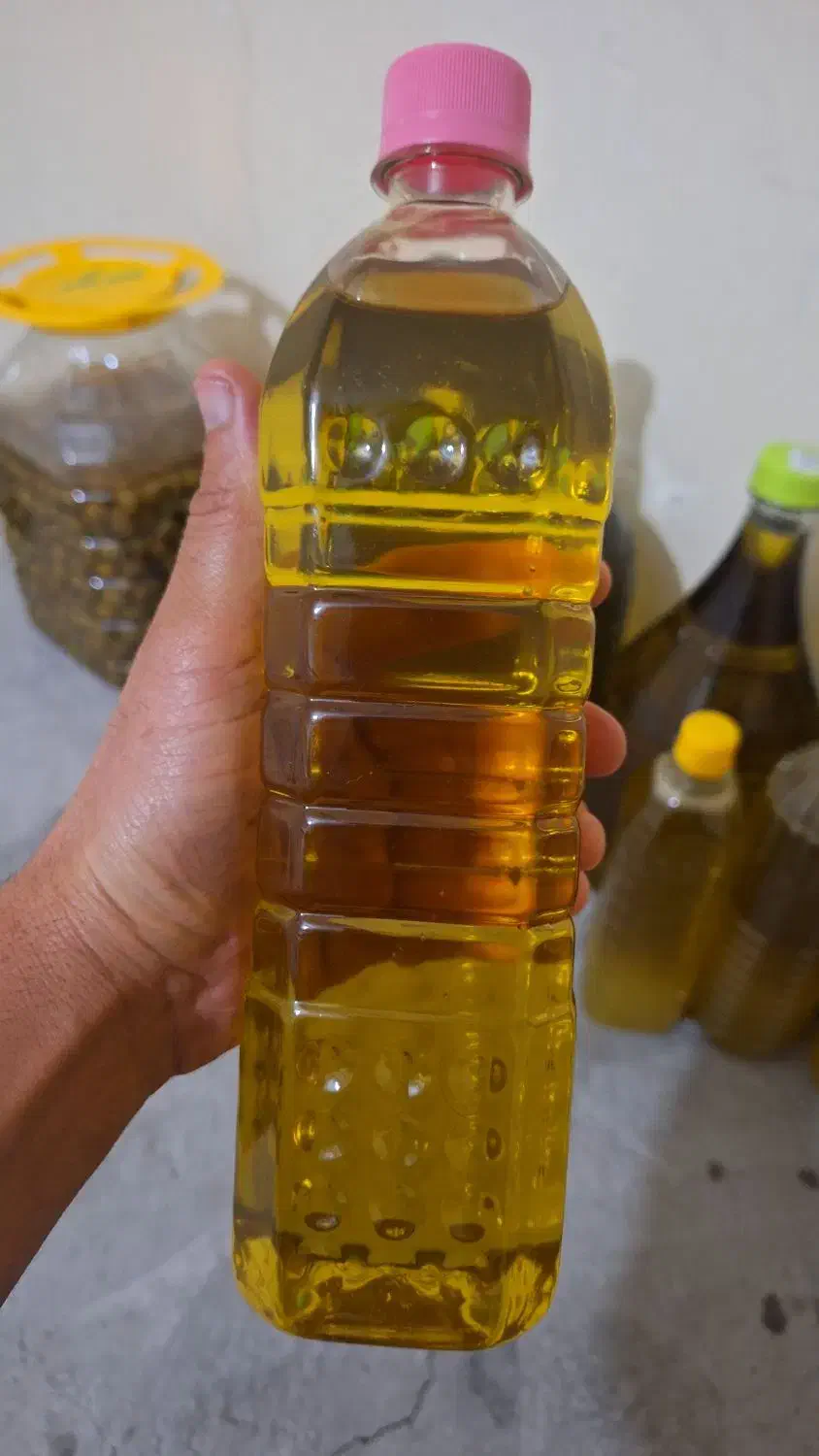 روغن زیتون اصل طارم|خوردنی و آشامیدنی|طارم, |دیوار