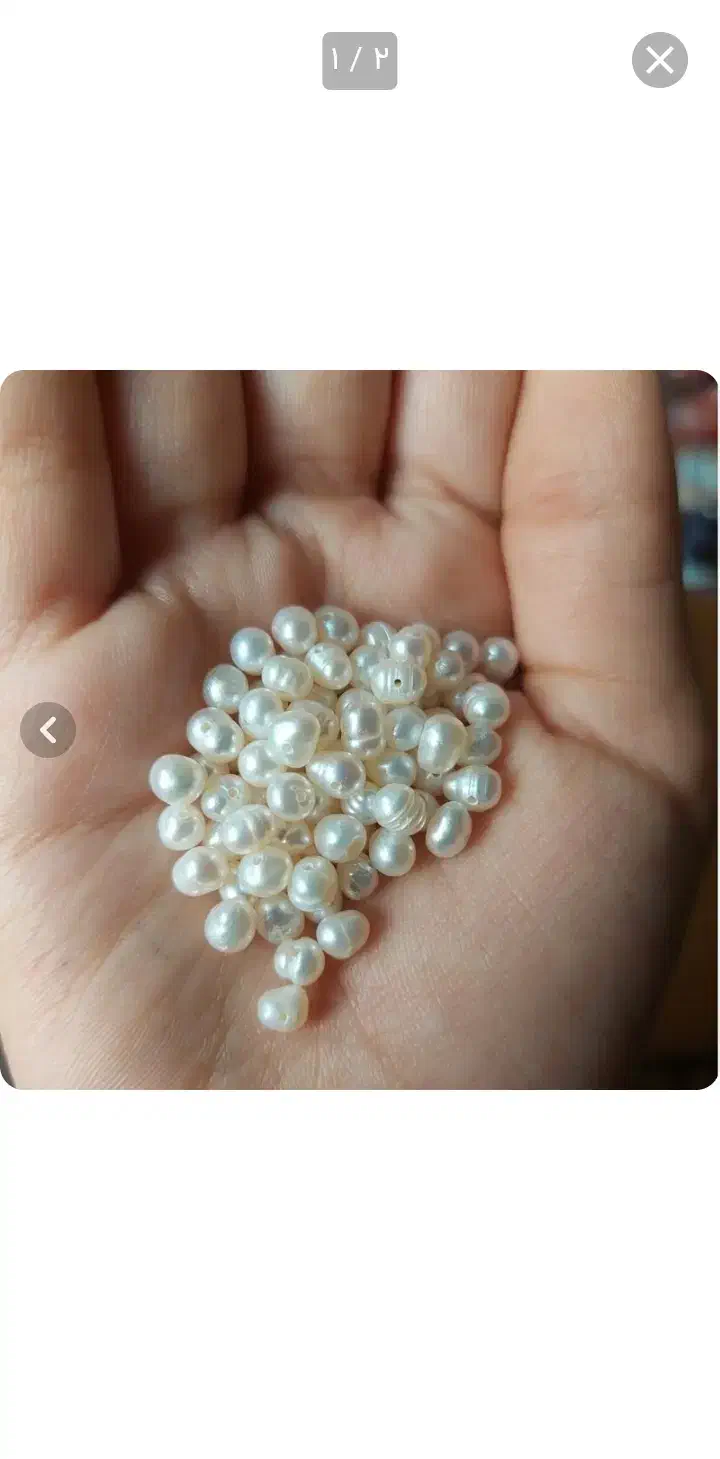 تعدادی مروارید پرورشی|جواهرات|شهریار, شهرک مصطفی خمینی|دیوار