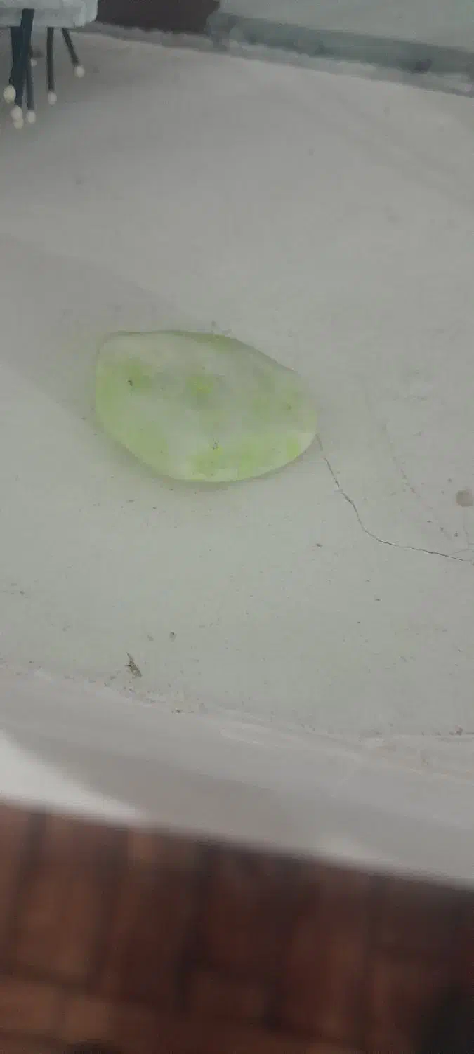 سنگ کلکسیونی|جواهرات|ملایر, |دیوار