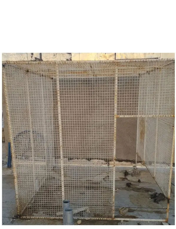 قفس 2×2×2|لوازم جانبی حیوانات|شیراز, مهدی‌آباد|دیوار