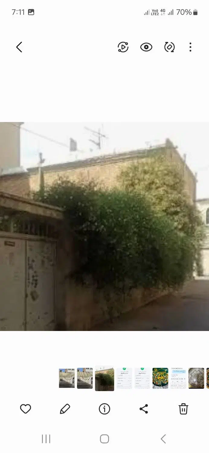 اجاره داده می‌شود. مطهری شمالی ۱۷دونبش ۳۱۰متر|اجارهٔ خانه و ویلا|مشهد, عبادی|دیوار