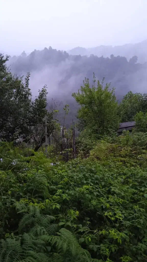 راهنمایی|فعالیت داوطلبانه|دیلم, |دیوار