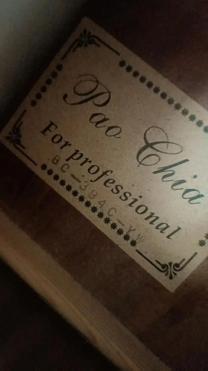 گیتار اصل پائوچیا|گیتار، بیس، امپلیفایر|تبریز, |دیوار