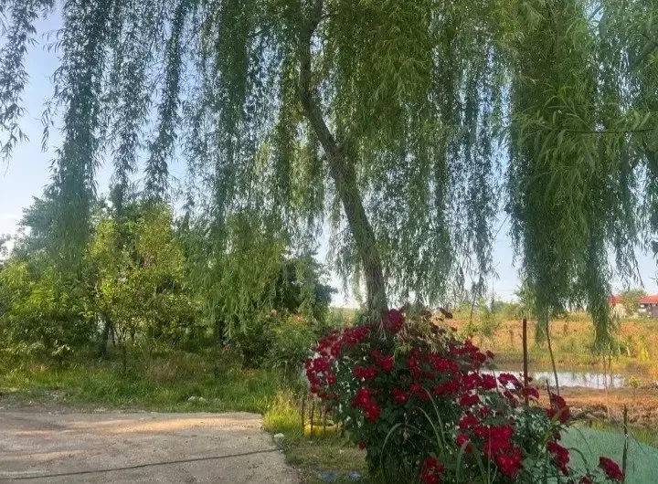 اجاره ویلا روزانه و سالانه|اجارهٔ کوتاه‌مدت ویلا و باغ|سنگر, |دیوار