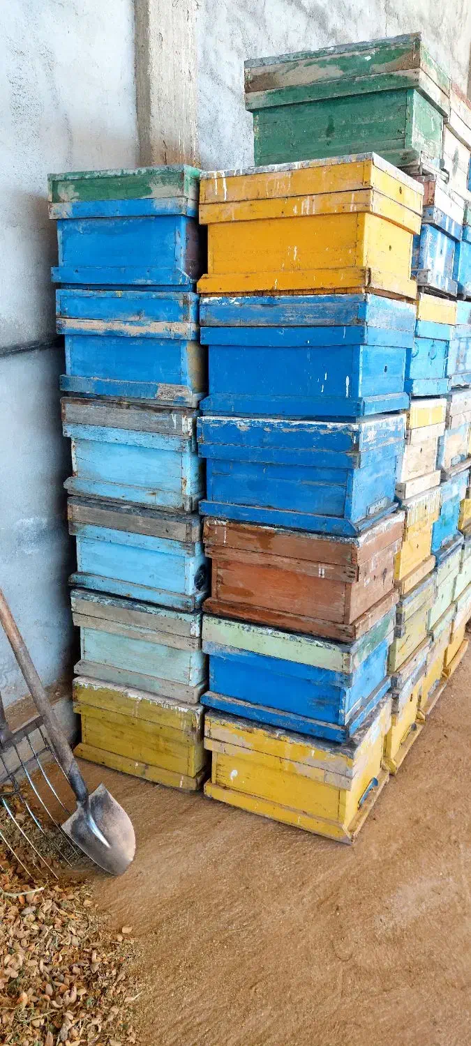 کندو|لوازم جانبی حیوانات|بن, |دیوار