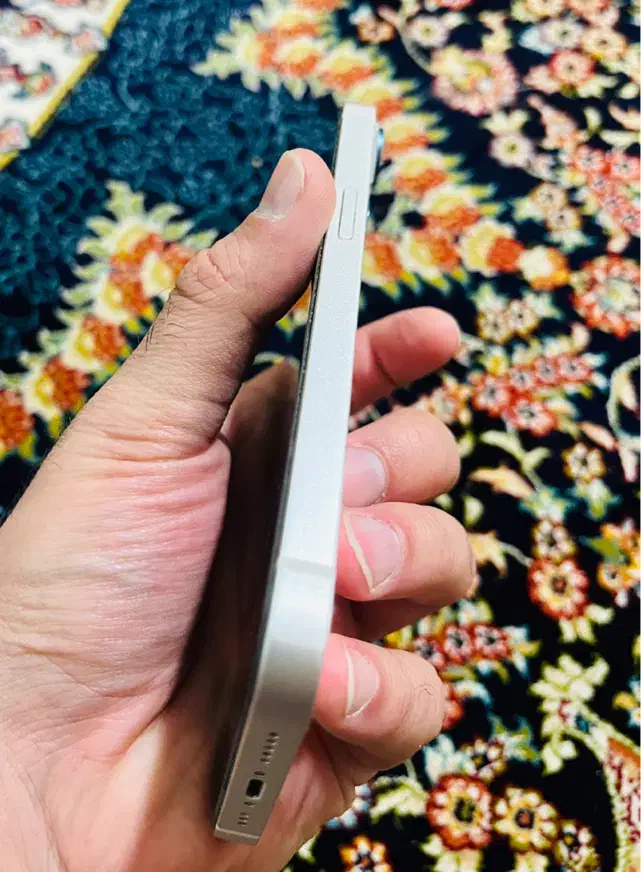 Iphone 13|موبایل|اراک, |دیوار