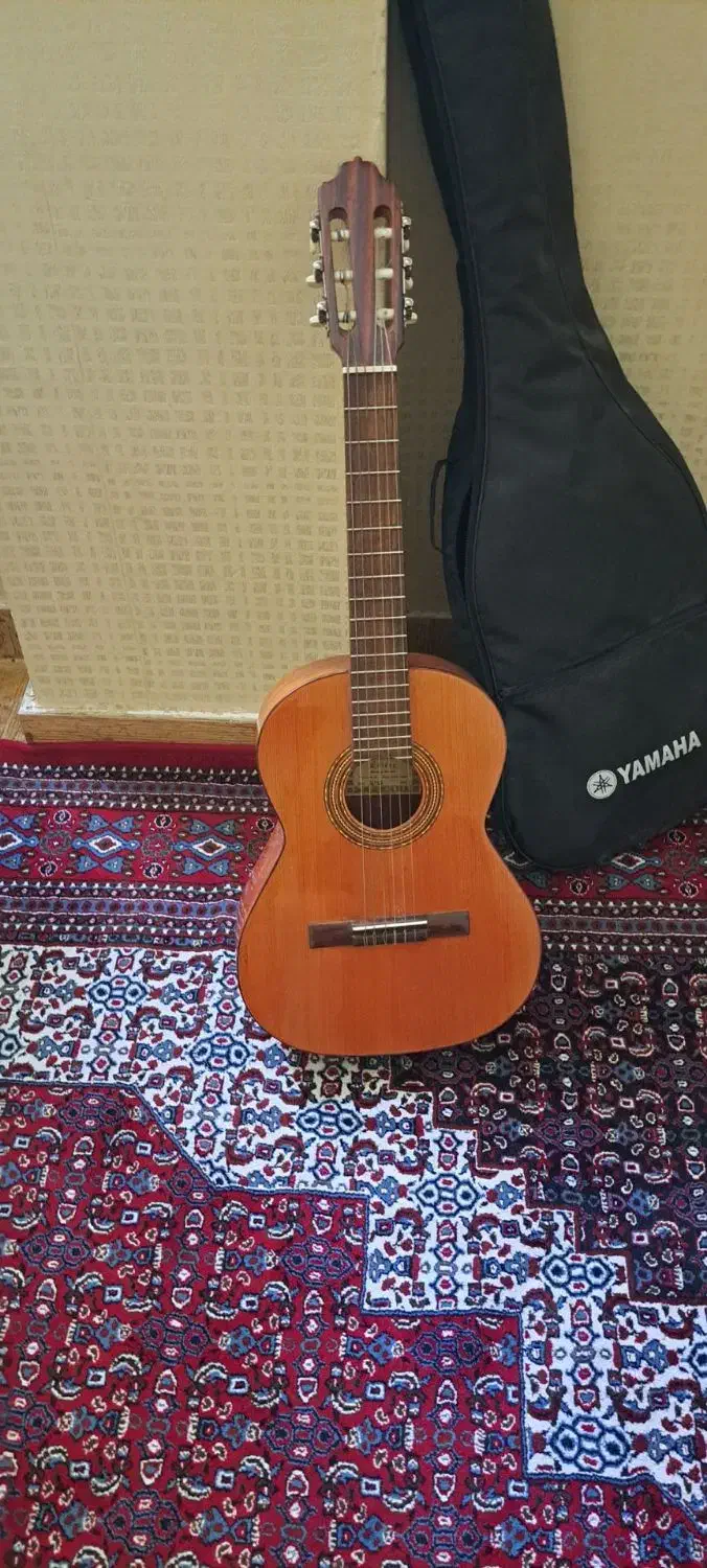 گیتار اسپانیایی|گیتار، بیس، امپلیفایر|سنندج, |دیوار