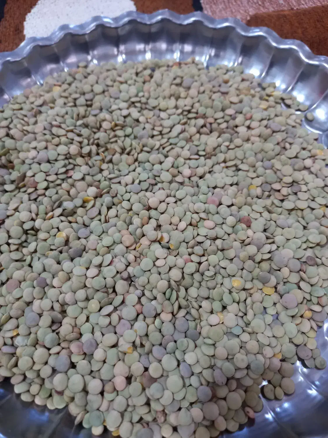 عدس|خوردنی و آشامیدنی|قرچک, مهدیه|دیوار