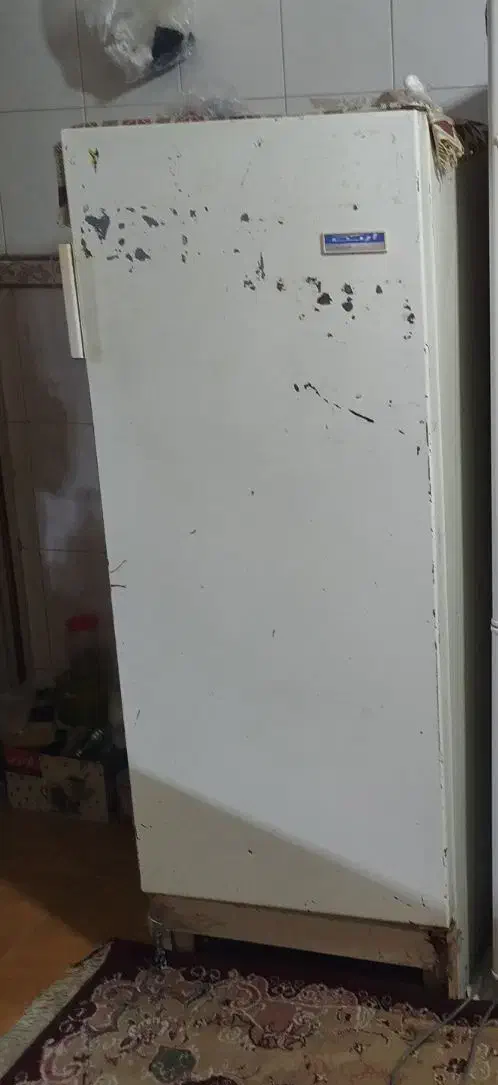 یخچال|یخچال و فریزر|دامغان, |دیوار