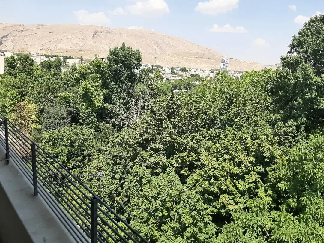 ۱۷۵متر/۳خواب/مجاورباغ/دنج و آرام/همت شمالی|اجارهٔ آپارتمان|شیراز, مهدی‌آباد|دیوار
