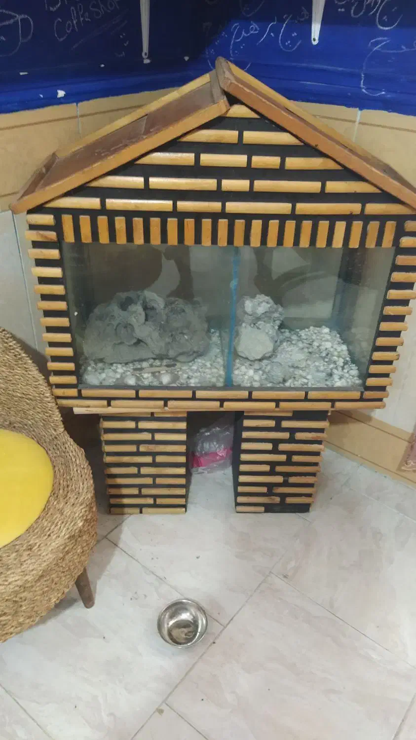 اکواریوم بهمراه کمد|ماهی|زابل, |دیوار