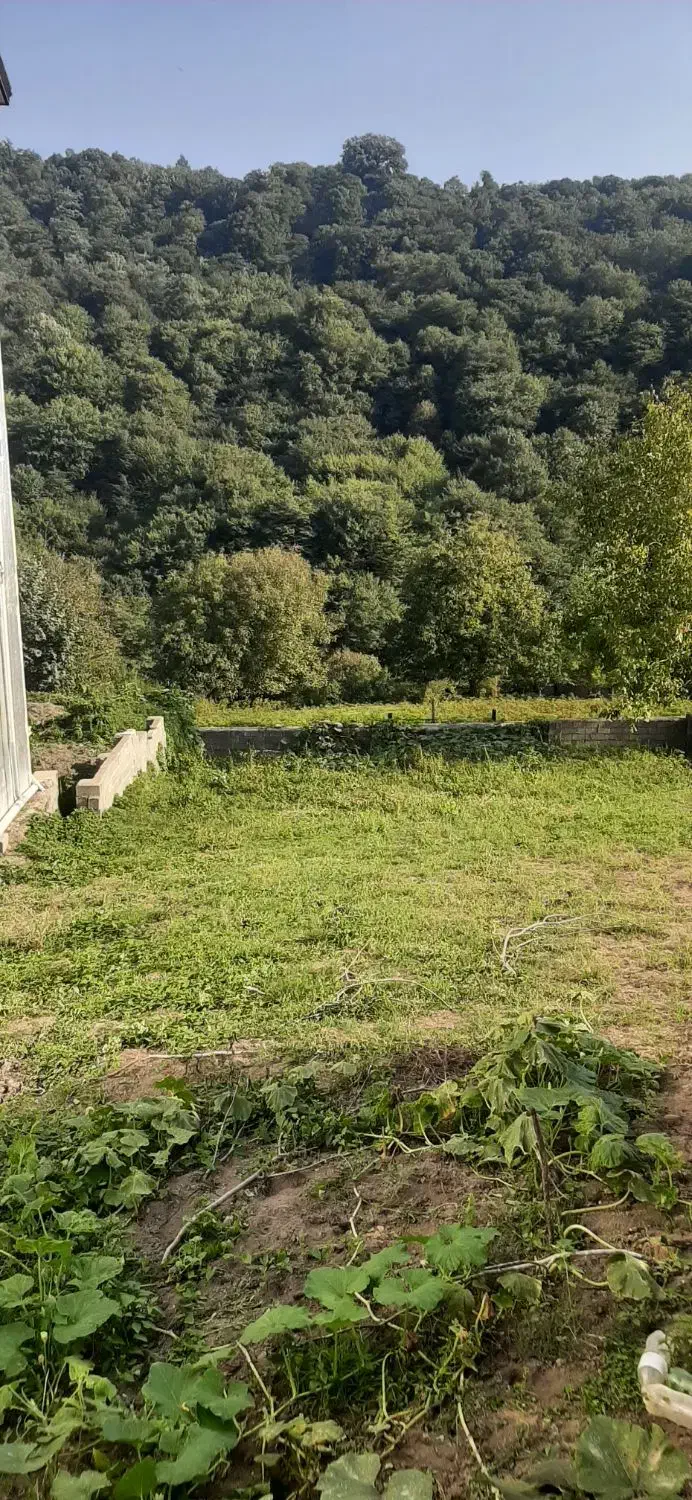 فروش زمین سند دار کاملا بافت مسکونی در سوادکوه|فروش زمین و ملک کلنگی|زیرآب, |دیوار