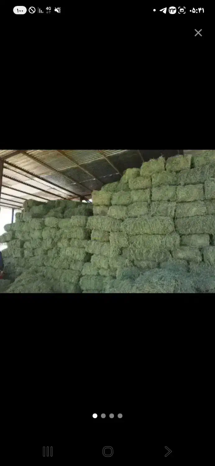 یونجه|عمده‌فروشی|دیواندره, |دیوار