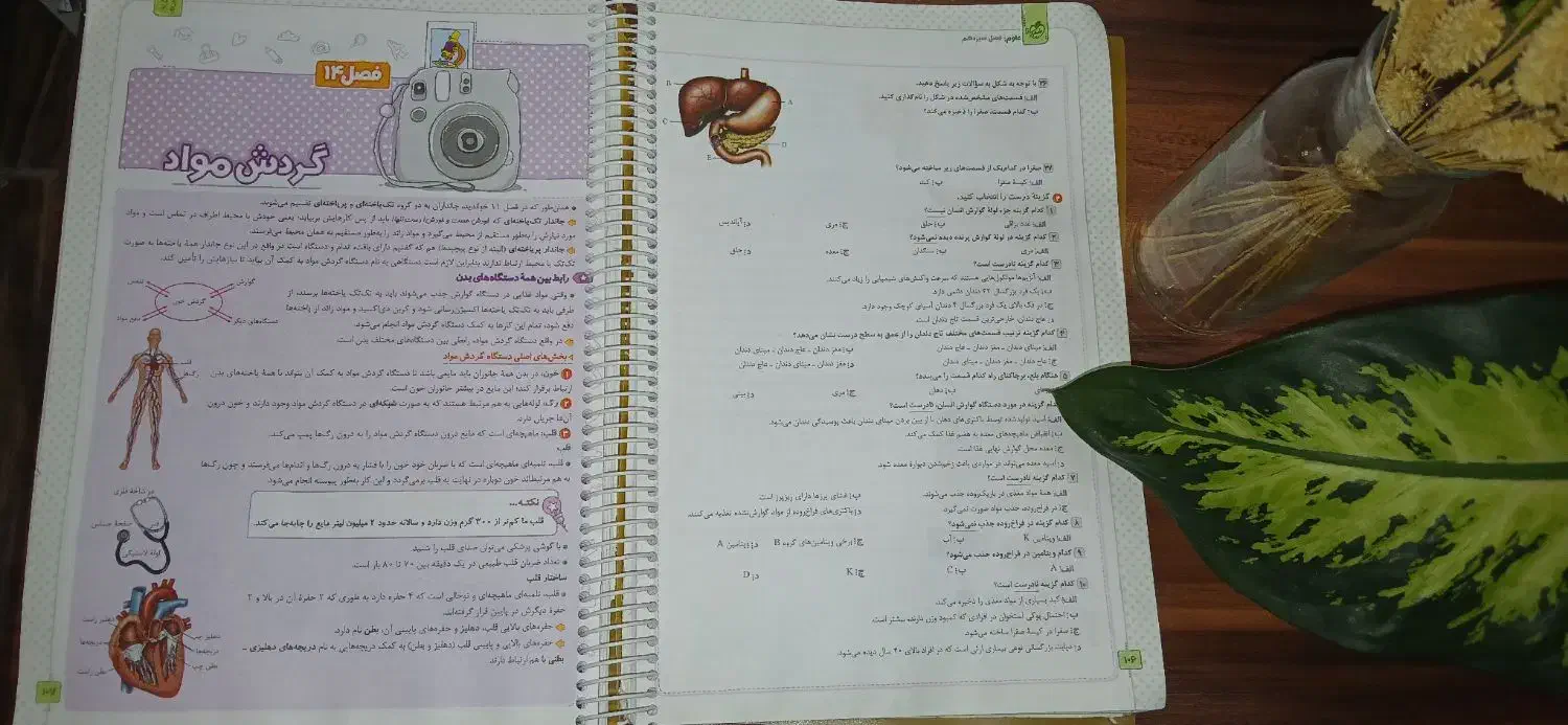 کتاب ماجراهای من و درسام|کتاب و مجله آموزشی|شیراز, حافظیه|دیوار