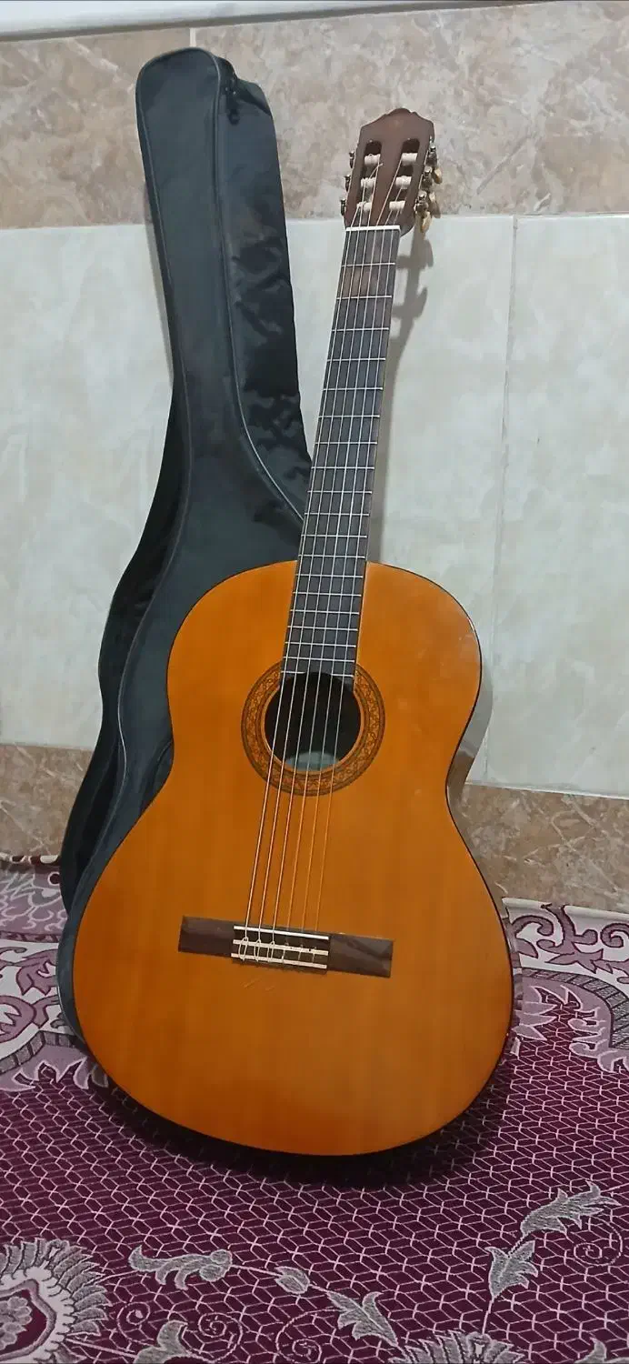 گیتار c40|گیتار، بیس، امپلیفایر|قم, وادی السلام|دیوار