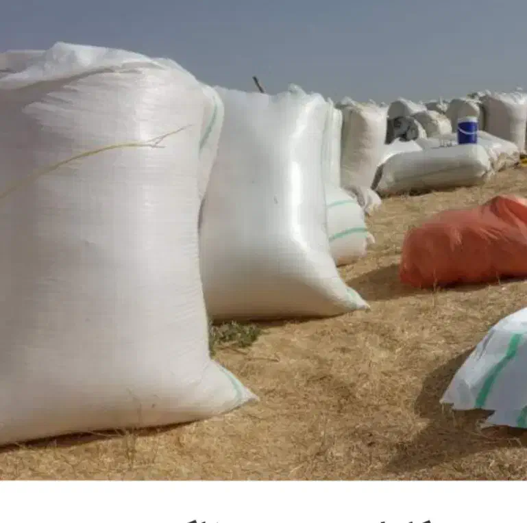 کاه دیم|عمده‌فروشی|هندمینی, |دیوار