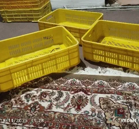 سبد|ظروف نگهدارنده، پلاستیکی، یکبارمصرف|خرمآباد, |دیوار