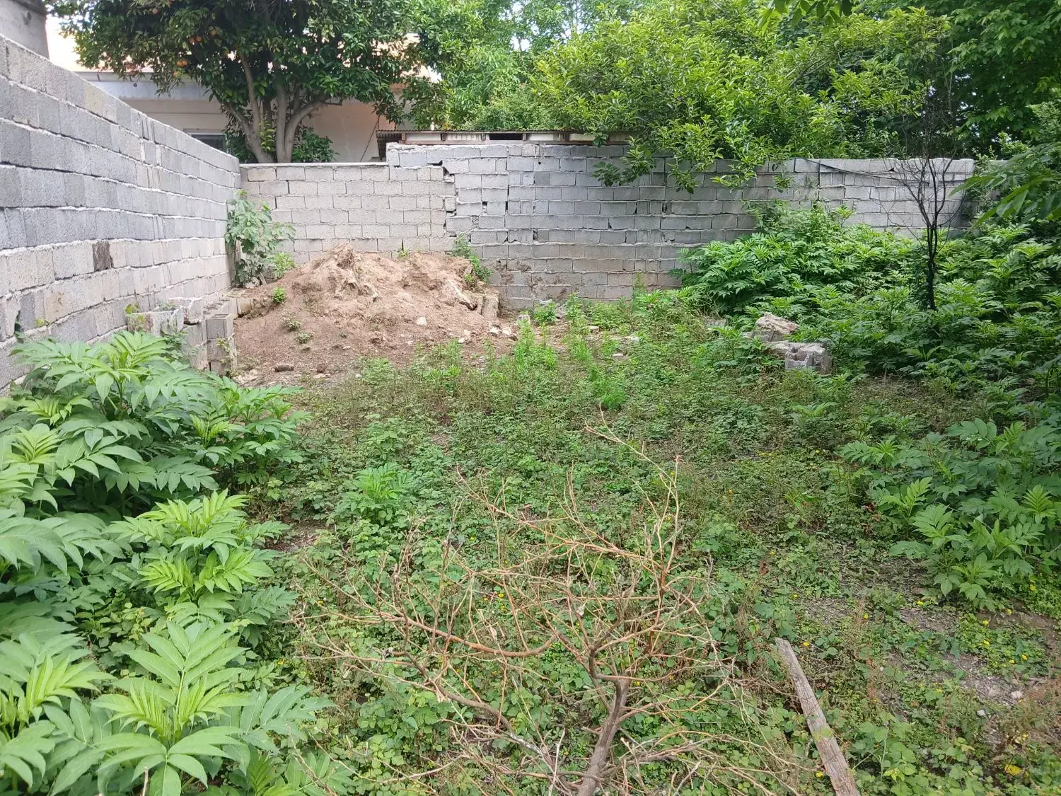 زمین مسکونی ۲۳۰ متر دیوارکشی|فروش زمین و ملک کلنگی|لشت نشا, |دیوار
