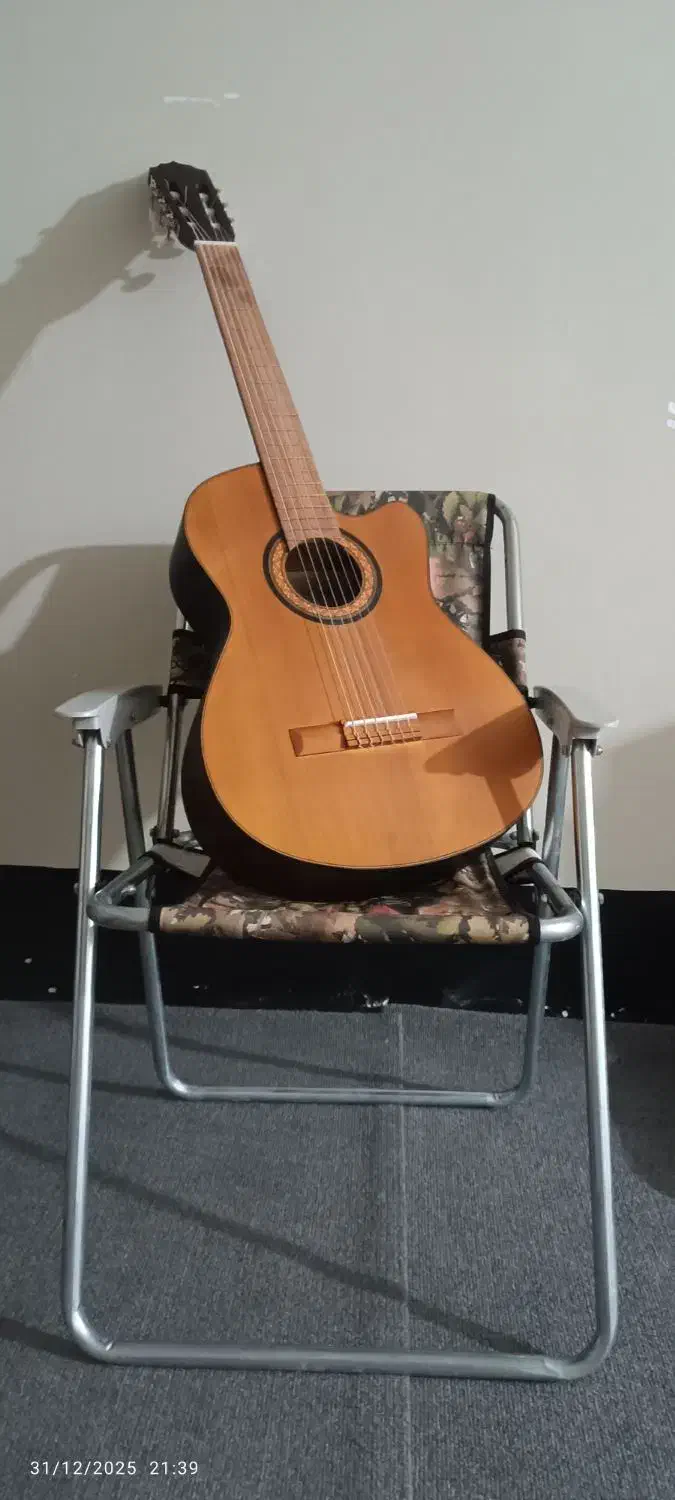 کبوتر فرار کرده|حیوانات|بندر ترکمن, |دیوار