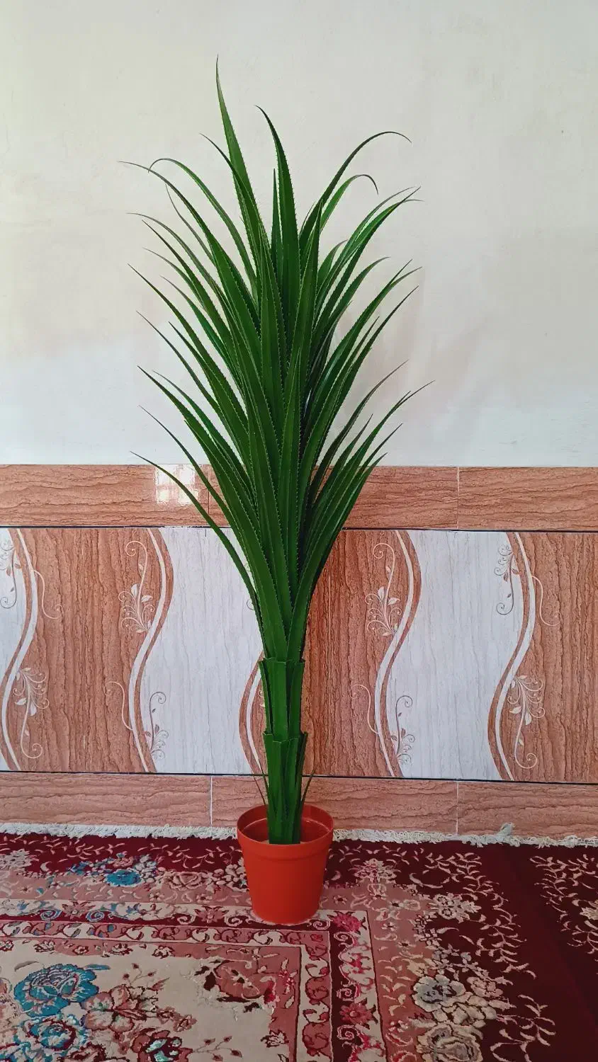 درختچه مصنوعی آلوورا طبیعینما ۱۲۰ سانت|گل مصنوعی|رامشیر, |دیوار