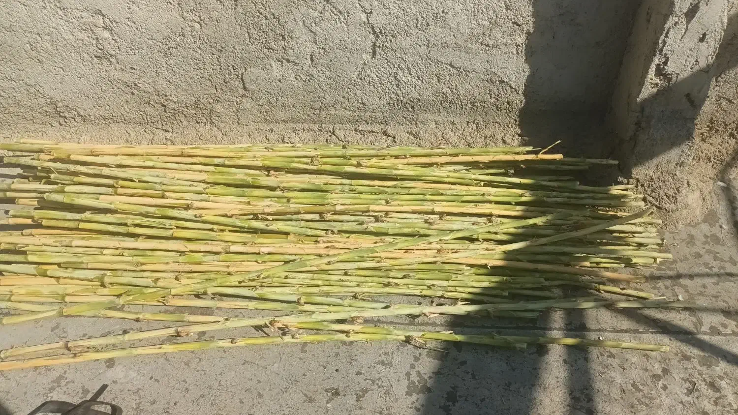 نی هفت بند|سازهای سنتی|تهران, امیریه|دیوار