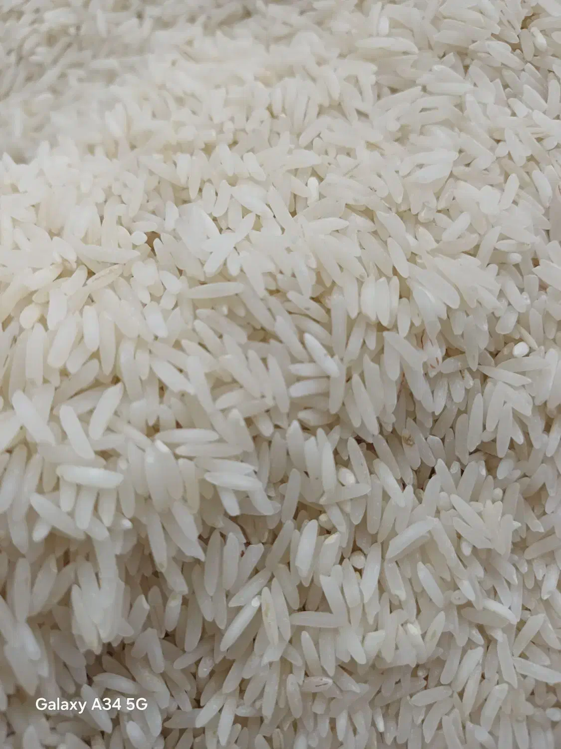 فروش نامحدود برنج فجر/ تهیه غذاهای محترم|خوردنی و آشامیدنی|باغستان, |دیوار