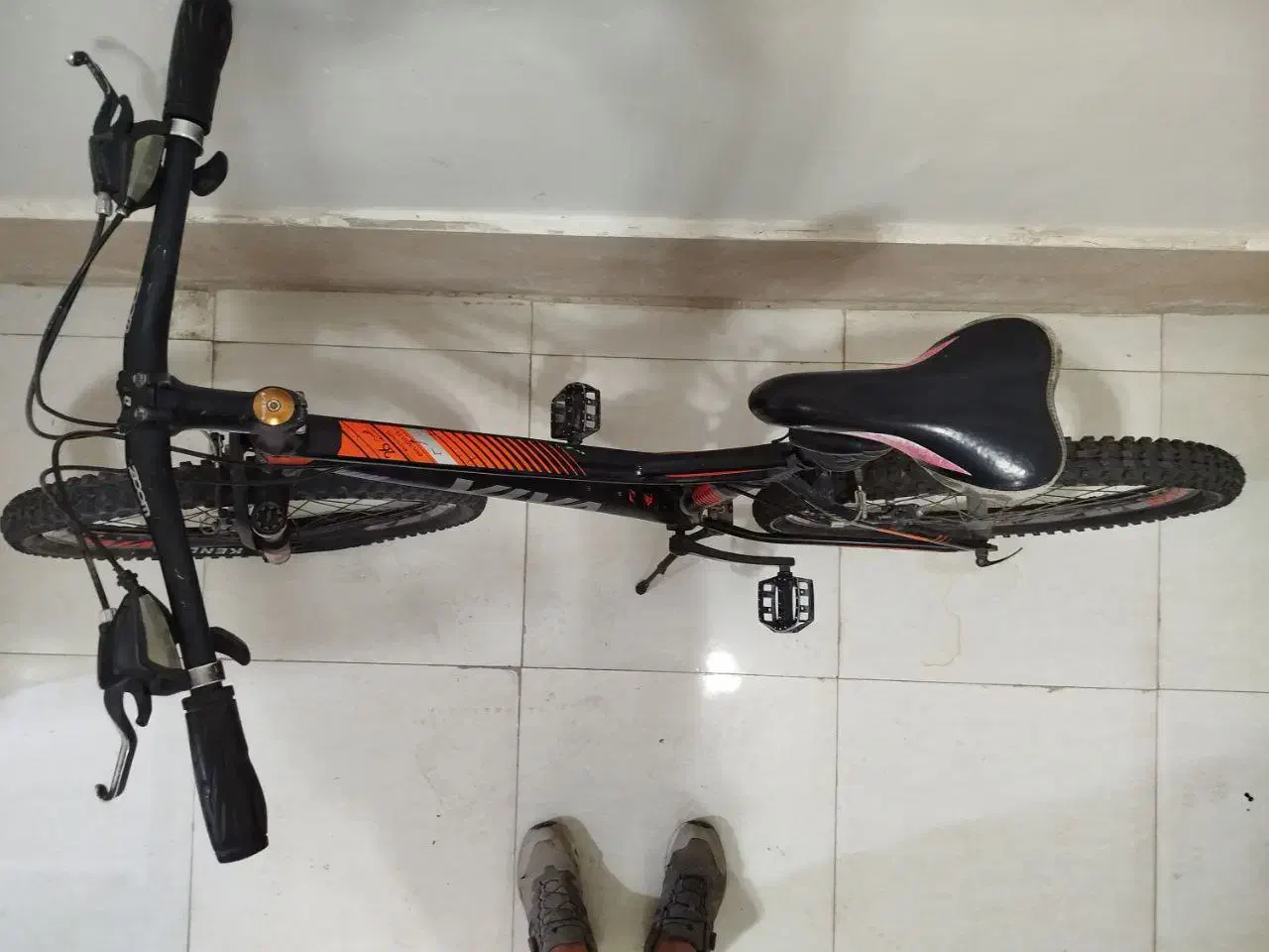 دوچرخه ویوا وارداتی|دوچرخه، اسکیت، اسکوتر|گنبد کاووس, |دیوار